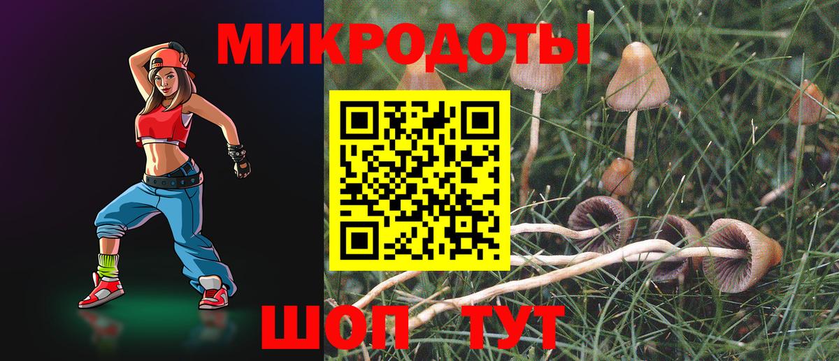 Галлюциногенные грибы Psilocybe  Вход с VPN  Галлюциногенные грибы мухоморы  Вязники 
